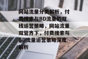 网站流量分类解析，付费搜索与BD流量的双线运营策略，网站流量双管齐下，付费搜索与BD流量运营策略深度解析
