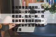 体育赛事直播回放，尽在指尖—全方位解析观看渠道，指尖一触，尽享体育赛事精彩回放——深度解析直播回放观看之道