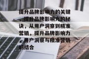 提升品牌影响力的关键，提升品牌影响力的秘诀，从用户洞察到精准营销，提升品牌影响力，用户洞察与精准营销的结合
