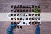 网站流量查询工具全解析，掌握网站流量，提升网站价值，网站流量掌控秘籍，全面解析流量查询工具，助力网站价值提升