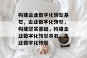 构建企业数字化转型基石，企业数字化转型，构建坚实基础，构建企业数字化转型基石，企业数字化转型