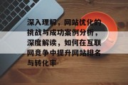 深入理解，网站优化的挑战与成功案例分析，深度解读，如何在互联网竞争中提升网站排名与转化率