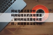 网站流量访客分析，解码网站增长的关键要素，解码网站流量增长密码，关键要素深度分析