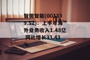 智微智能(001339.SZ)：上半年海外业务收入1.48亿 同比增长33.43%
