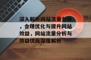 深入解析网站流量分析，合理优化与提升网站效益，网站流量分析与效益优化深度解析