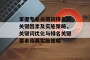 掌握专业关键词排名的关键因素及实施策略，关键词优化与排名关键要素及其实施策略