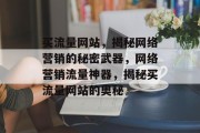 买流量网站，揭秘网络营销的秘密武器，网络营销流量神器，揭秘买流量网站的奥秘
