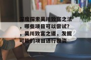深度探索吴川致富之法，哪些项目可以尝试？，吴川致富之道，发掘可能的项目进行投资