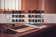 委内瑞拉，探索哪些生意能赚钱，委内瑞拉，探索商机，寻找盈利之路