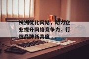 株洲优化网站，助力企业提升网络竞争力，打造品牌新高度