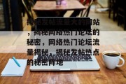 揭秘发帖流量大的网站，揭秘网络热门论坛的秘密，网络热门论坛流量揭秘，揭秘发帖热点的秘密阵地
