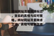 揭秘网站流量限速标志，背后的真相与应对策略，揭秘网站流量限速之谜，真相与破解之道