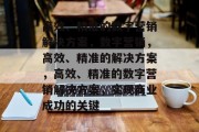 高效、精准的数字营销解决方案，数字营销，高效、精准的解决方案，高效、精准的数字营销解决方案，实现商业成功的关键