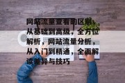 网站流量查看的区别，从基础到高级，全方位解析，网站流量分析，从入门到精通，全面解读差异与技巧