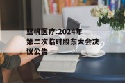 蓝帆医疗:2024年第二次临时股东大会决议公告