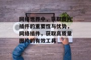 网络世界中，获取图片插件的重要性与优势，网络插件，获取高质量图片的有效工具