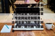 沧州企业网站专业定制，助力企业腾飞新高度，沧州企业飞跃新篇章，专业网站定制服务，沧州企业飞跃，专业网站定制，助力腾飞新篇章