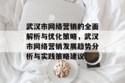 武汉市网络营销的全面解析与优化策略，武汉市网络营销发展趋势分析与实践策略建议