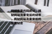 网站流量代码统计，揭秘网站流量背后的秘密，揭秘网站流量背后的数据秘密