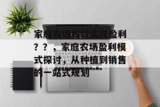 家庭农场如何实现盈利??,家庭农场盈利模式探讨,从种植到销售的一站式规划 家庭农场如何实现盈利??,家庭农场盈利模式探讨,从种植到销售的一站式规划