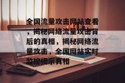 全国流量攻击网站查看，揭秘网络流量攻击背后的真相，揭秘网络流量攻击，全国网站实时监控揭示真相