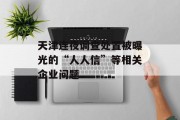 天津连夜调查处置被曝光的“人人信”等相关企业问题