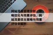 网站流量管理分析，策略优化与效果评估，网站流量优化策略与效果评估全解析