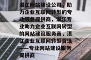 湛江网站建设公司，助力企业互联网转型的专业服务提供商，湛江专业助力企业互联网转型的网站建设服务商，湛江企业互联网转型首选——专业网站建设服务提供商