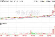 华新环保：2024年年度拟每10股派0.40元人民币现金