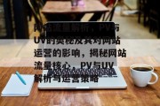 网站流量解析，PV与UV的奥秘及其对网站运营的影响，揭秘网站流量核心，PV与UV解析与运营策略