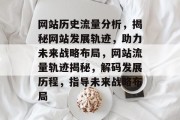 网站历史流量分析，揭秘网站发展轨迹，助力未来战略布局，网站流量轨迹揭秘，解码发展历程，指导未来战略布局