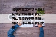 揭秘网站工作，辛勤耕耘背后的辛酸与收获，网站背后的辛勤耕耘，揭秘工作辛酸与收获之路