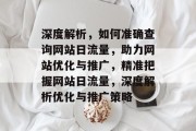 深度解析，如何准确查询网站日流量，助力网站优化与推广，精准把握网站日流量，深度解析优化与推广策略