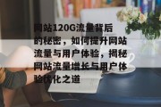 网站120G流量背后的秘密，如何提升网站流量与用户体验，揭秘网站流量增长与用户体验优化之道