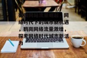鹤岗网站流量崛起，网络时代下的城市新机遇，鹤岗网络流量激增，探索网络时代城市新活力