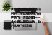 青岛企业网站建设首选润商，专业服务助力品牌腾飞，青岛润商——企业网站建设首选，助力品牌飞跃发展