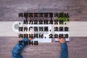 揭秘真实流量查询网站，助力企业精准营销，提升广告效果，流量查询网站揭秘，企业精准营销利器