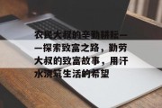 农民大叔的辛勤耕耘——探索致富之路，勤劳大叔的致富故事，用汗水浇筑生活的希望