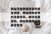 网站流量数据背后的商业洞察，揭秘网络世界的流量密码，解码流量密码，网站数据揭示的商业智慧