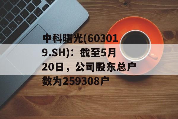 中科曙光(603019.SH)：截至5月20日，公司股东总户数为259308户