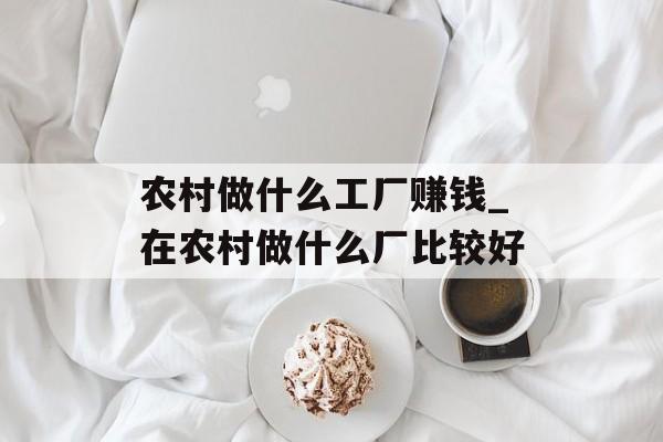 农村做什么工厂赚钱_在农村做什么厂比较好
