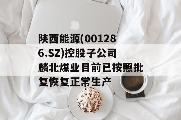 陕西能源(001286.SZ)控股子公司麟北煤业目前已按照批复恢复正常生产