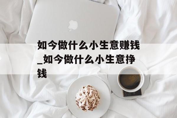 如今做什么小生意赚钱_如今做什么小生意挣钱