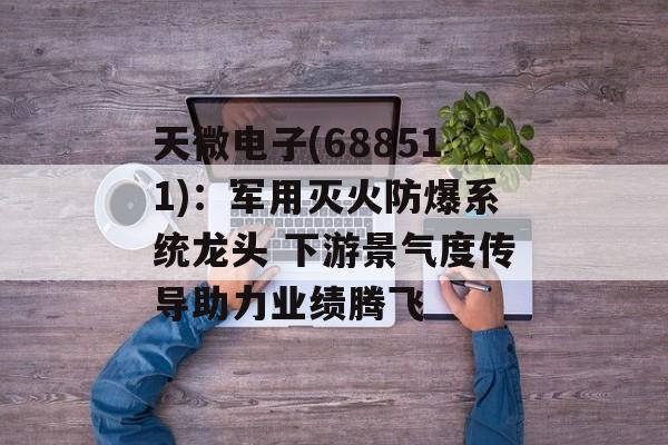 天微电子(688511):军用灭火防爆系统龙头 下游景气度传导助力业绩腾飞 天微电子(688511):军用灭火防爆系统龙头 下游景气度传导助力业绩腾飞