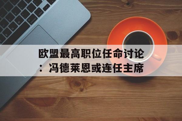 欧盟最高职位任命讨论：冯德莱恩或连任主席