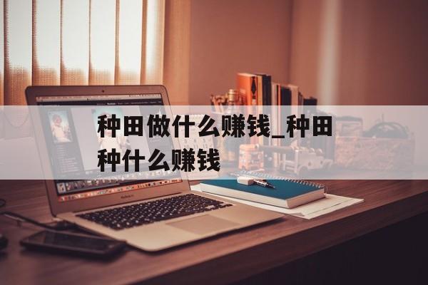 种田做什么赚钱_种田种什么赚钱