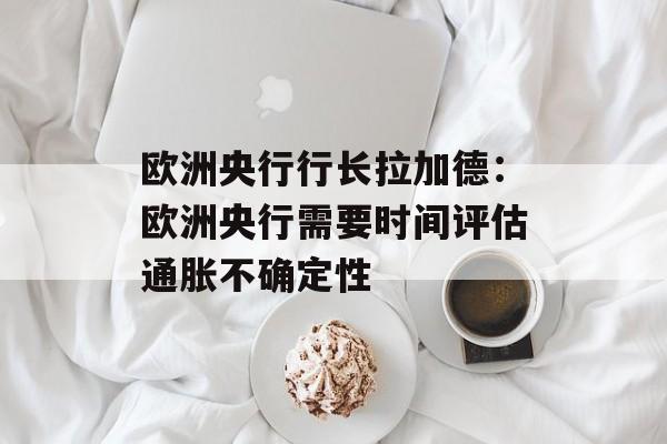欧洲央行行长拉加德：欧洲央行需要时间评估通胀不确定性