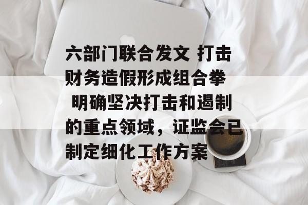 六部门联合发文 打击财务造假形成组合拳  明确坚决打击和遏制的重点领域，证监会已制定细化工作方案