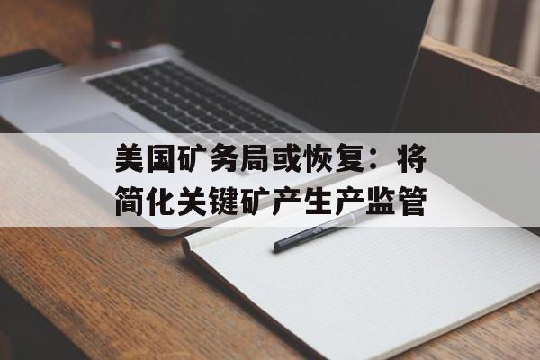 美国矿务局或恢复：将简化关键矿产生产监管