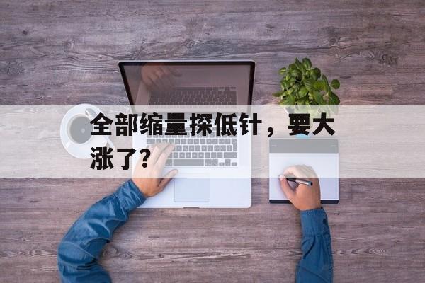 全部缩量探低针，要大涨了？